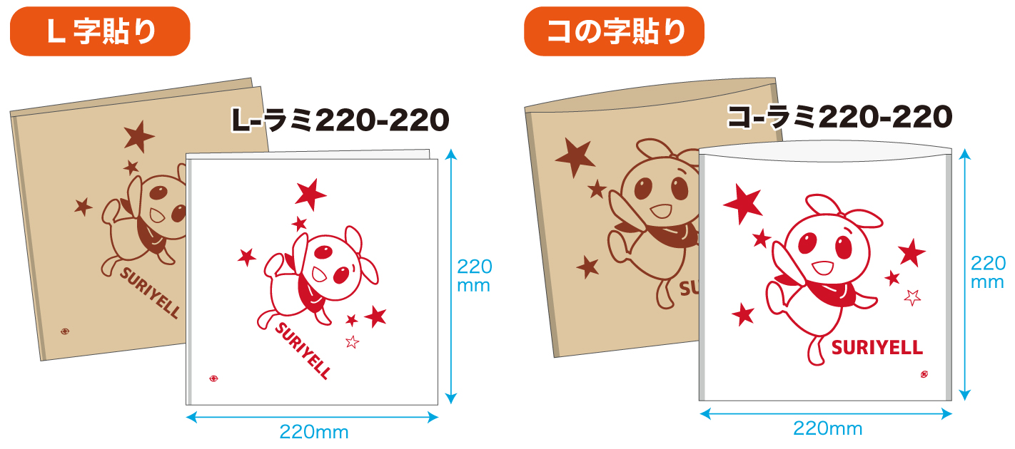 “220×220サイズ”